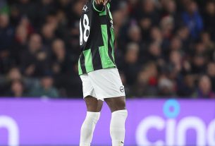 Danny Welbeck scored a decisive goal as Brighton came from behind to draw to Crystal Palace