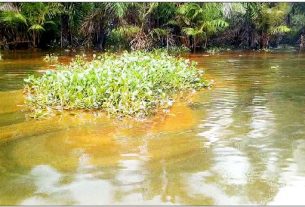 Crude oil production price benchmark for 2024 budget realistic - NNPC