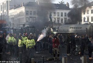 The European Union handed a victory to Europe's protesting farmers (pictured) today with Ursula von der Leyen saying Brussels will ease 'administrative burdens'