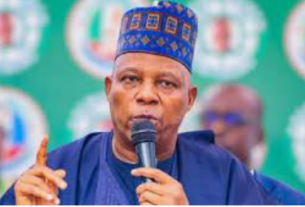 Vice-President Kashim Shettima