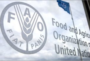 Borno govt commends FAO for distributing farm inputs to 9,975 farmers