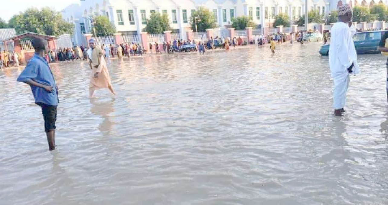 a flooded area in borno state during the collapse of the alau dam last year