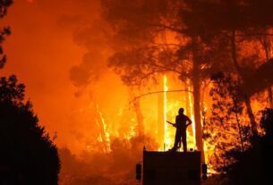 Turkey Arrests 10 Suspects as Wildfires Kill Two, Dozens of Blazes Erupt Across Country