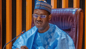 Housing Minister Dangiwa Hails Ogun’s Gateway Airport as One of Nigeria’s Best