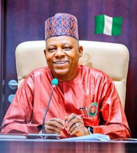 With Mbah, Uzodimma, Nwaifuru, Ndigbo Has Come To Mainstream Politics -Shettima