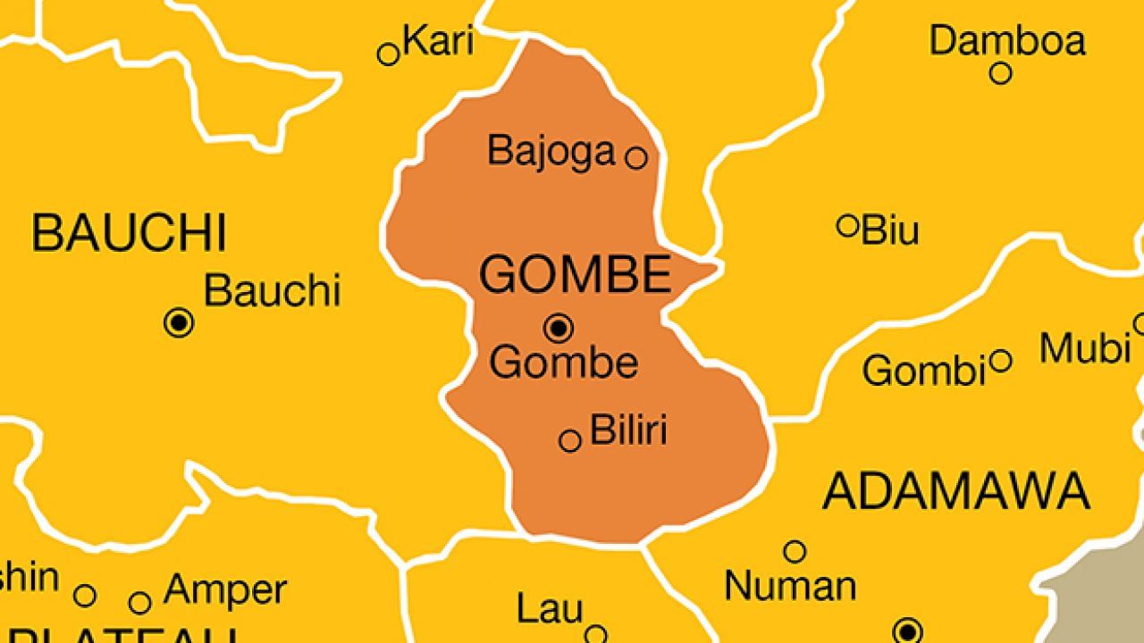 Gombe, Partners Fix 2030 To Eliminate Neglected Tropical Diseases