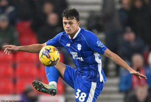 Cardiff defender Perry Ng was forced off in the loss against Birmingham as he 'couldn't see'