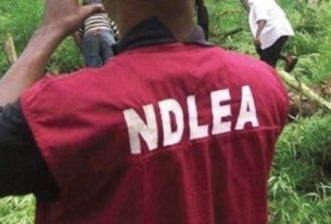 NDLEA Discovers Drugs Concealed In Ceiling, Arrests Suspect