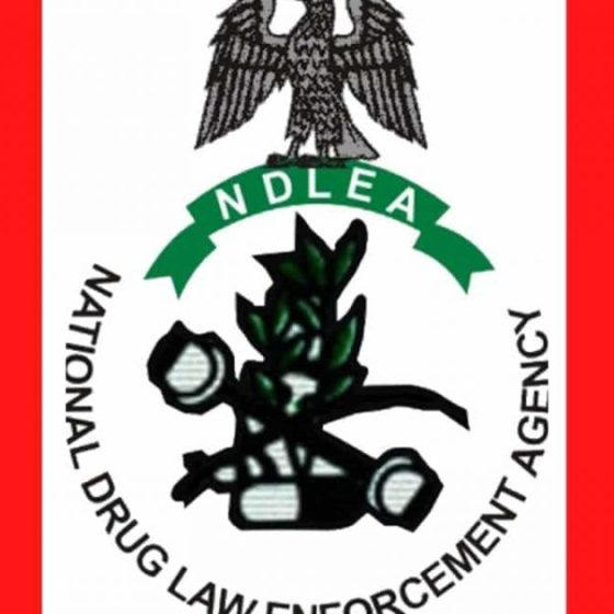 NDLEA seizes 2.05 tons of hard drugs, arrests 223 suspects in C’River