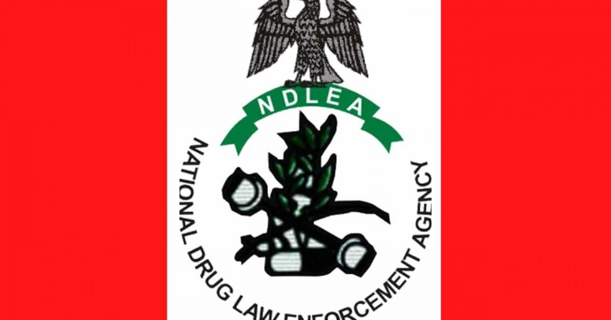 NDLEA seizes 2.05 tons of hard drugs, arrests 223 suspects in C’River