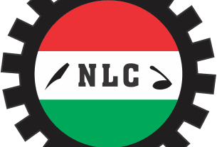 NLC logo