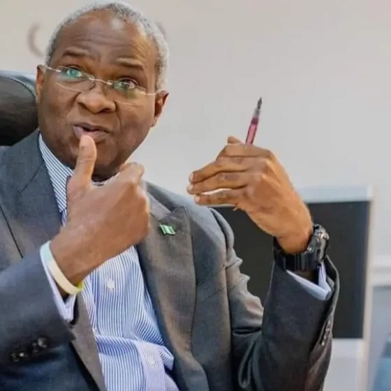 Nigerians, Rather Than Constitution Need Amendment, Says Fashola