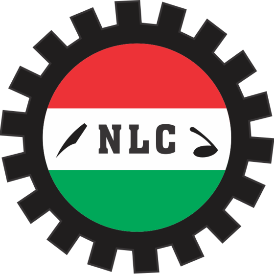 Power sector: Planned restructuring of TCN dangerous, says NLC