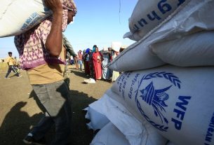 WFP: Hungry People in Nigeria, Other West and Central African Countries To Reach 49.5 Million in August 2024