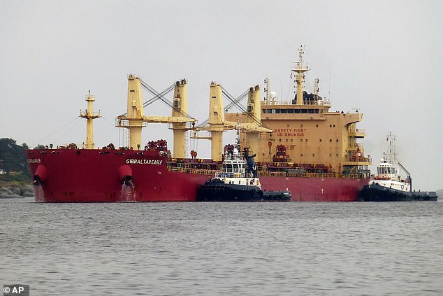 Houthis attacked a US-owned ship, the Gibraltar Eagle (pictured), with an anti-ship ballistic missile yesterday