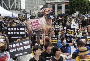 South Korea's Parliament Passes Bill To Ban Dog Meat Trade