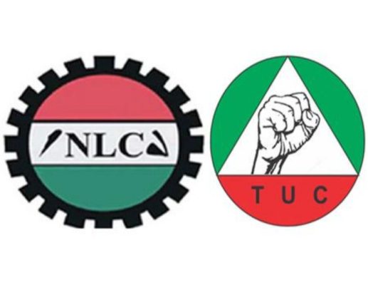 FG and TUC Disagree on Palliatives Implementation