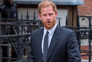 Prince Harry Loses Court Challenge Against UK Govt.