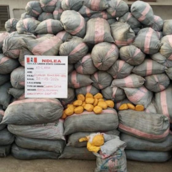 NDLEA seizes 44,948kg drugs, vehicles in Lagos, Edo, Ondo raids