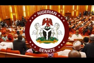 Senate Committee Commends Nigerian Army for Successful Rescue Mission