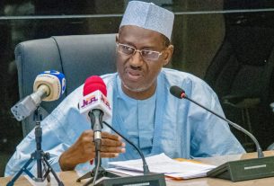 Nigeria's Minister Emerges Chair, Caucus Of African Housing Ministers