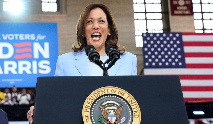Kamala Harris Accepts To Run For Democrat Nomination As Other Leaders Endorse Her, Commend Biden For Stepping Down