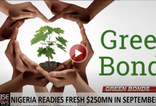 Nigeria Plans $250 Million Green Bonds For September 2024