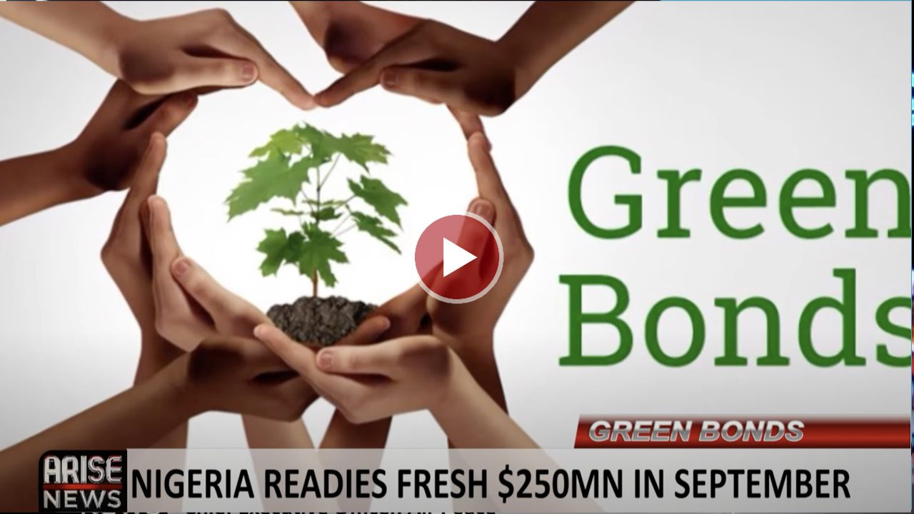 Nigeria Plans $250 Million Green Bonds For September 2024