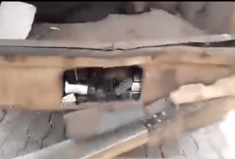 Screenshot 2025-02-16 090654