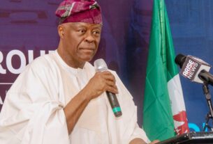 Wale Edun: Nigeria Must Explore Non-Oil Revenue Sources, We Can’t Overly Depend On Oil