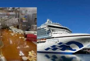 Minor Injuries Reported After Crown Princess Cruise Ship Hits Strong Winds in Fiordland, New Zealand