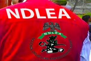 NDLEA Busts N3.9bn Tramadol Smuggling Ring, Arrests Indian Businessman, Three Nigerians at Lagos Airport