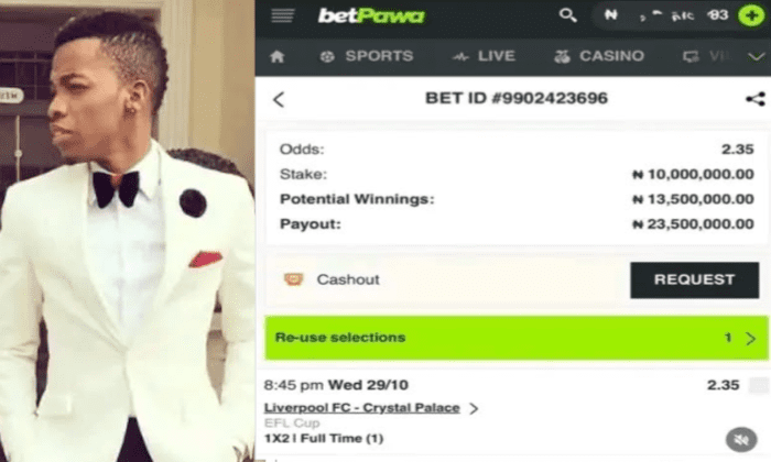 Afrobeats Star Tekno Flaunts ₦298 million  ‘Cashout’ On ₦1 million Stake With BetPawa – Arise News