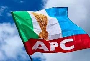 APC logo flag
