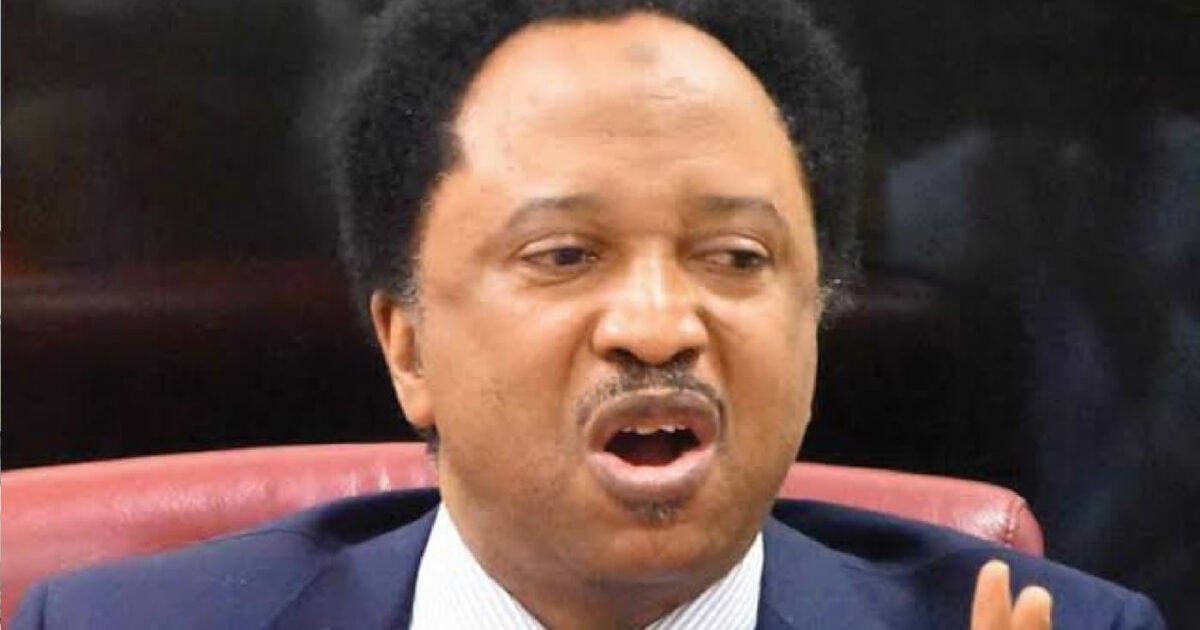 Shehu Sani reacts to Nnamdi Kanu life sentence: It's not end